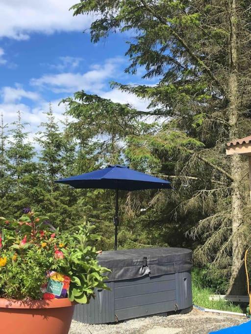 Bankhead Accommodation With Hot Tub Aberdeenshire Gamrie Ngoại thất bức ảnh